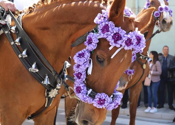 Open Cobalto * Кальяри